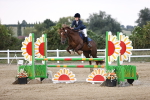 SBM_04384