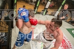 FULL BOAR CAGE FIGHTING 2013 portfolio