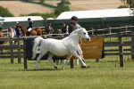 SBM_02390