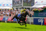 260725-Race 3-Royal Champion-0464