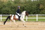 SBM_001579