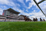 210826-Race 4-Bacio-5651