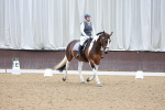 SBM_006933