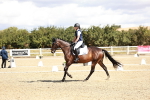 SBM_004204
