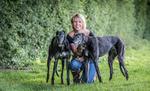 Parklands Farm Greyhound Hotel