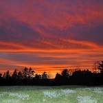Summer Sunset