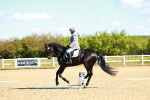 SBM_000206