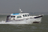 170408 PROSPERO - HARDY 1Y3A0045_Edit