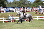 3E7A8033