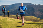 Sale Fell-324