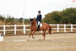 SBM_001666