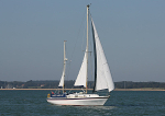 120907 WHITE MARTLET WT7A1466
