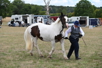 WJ6_5324