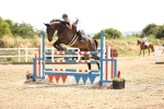 SBM_000579