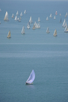 140621 GBR5831R   ME4_6460 392