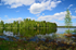 Kajaani to Kuhmo, Kainuu, Finland