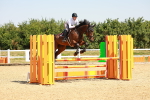 SBM_000917