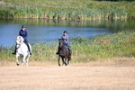 WJ6_6794