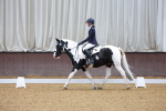 SBM_002606