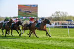 080426-Race 7-Sir Garfield-1204