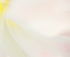theme 12 week 1: MACRO