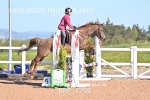 BPP_1798