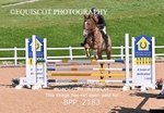 BPP_2183