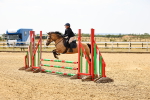 SBM_001281