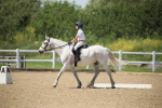SBM_009576