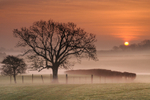 z2076 Sunrise over Ashey