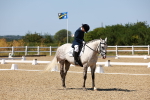 SBM_012515