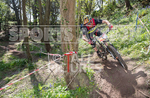 MTB 2017  Downhill Race-2-50