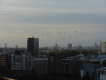 Hot Air Balloons over London portfolio