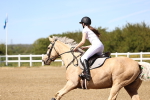 SBM_002589