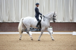 Class 14 - FEI PSG - 9.30-10.30 portfolio