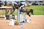 Cls 24 Hoys 128cm Jump Off and Presentations portfolio