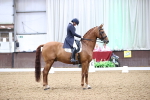 SBM_012025