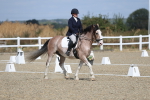 SBM_020923