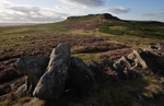 Heather on Carl Wark (1)