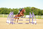 SBM_002223