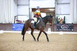 SBM_000377