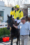 080426-Race 3-Jeddaal-0245