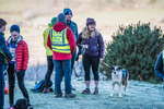Sale Fell-5