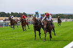 290826-Race 3-Fans Favourite-6474