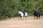 WJ6_8125