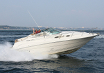 140906 MONTEREY 242 CRUISER WT7A3088