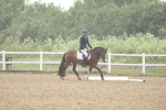 SBM_000833