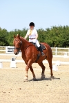SBM_011811