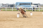 SBM_004323