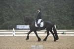 274-Paige_Beattie-Orcaber_Dark_Secret portfolio
